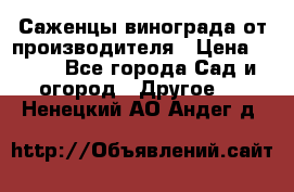 Саженцы винограда от производителя › Цена ­ 800 - Все города Сад и огород » Другое   . Ненецкий АО,Андег д.